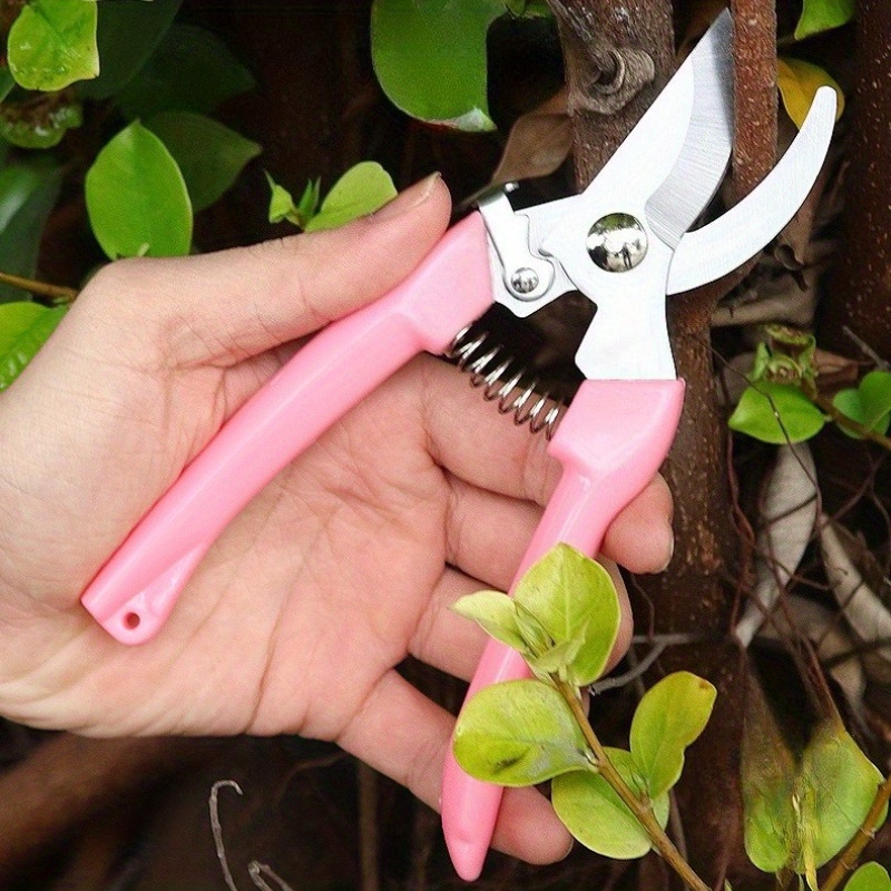 2 Paket Gunting Bunga (Pink),  - Pinking Shear Blade ulasan dan harga